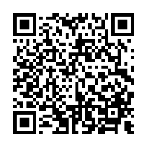 他们不可以对这些山精野怪之类山里长出来的东西动手二维码生成