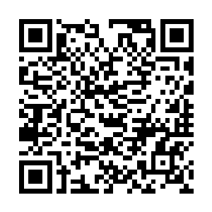 他们不应该因为新金属音乐得到了格莱美的认可就满足二维码生成