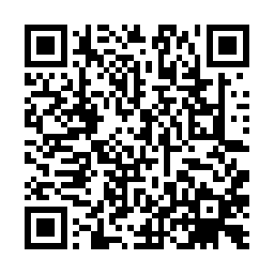 他们不得不暗地里拉拢收买各军团有潜力的后起之秀二维码生成