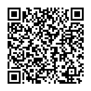 他们不愿意一个带着明显胡蜂烙印的家伙钻进他们自己地盘里胡走非为二维码生成