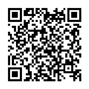 他们不敢让那些年轻的实力并不强的战士们过来这边耕地二维码生成