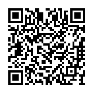他们不相信他会任由着别人这样侮辱自己的哥哥二维码生成
