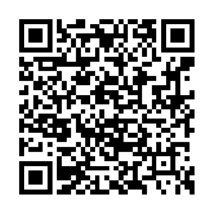 他们不知不觉已经买进了大量的谢氏生物的股票二维码生成