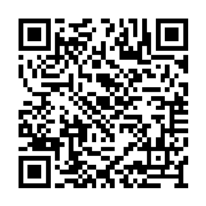 他们不知道一个九天玄仙中期修士走出来要什么二维码生成