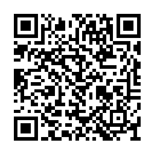 他们不知道自己的老板和西塞罗家族有什么关系二维码生成