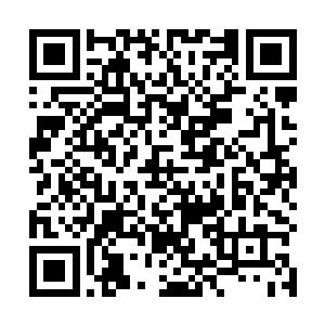 他们不知道这方圆百里范围都是我卡加斯学院的领地吗二维码生成