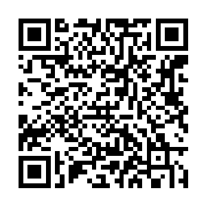 他们不能因为自己的决定然后连他们也一起拉下水二维码生成