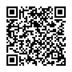 他们不能眼睁睁看着自己花了大价钱买回来的珍宝二维码生成