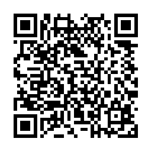 他们不至于把家族的中坚力量派出来处理这件事情二维码生成