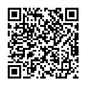 他们不论是实力还是战斗技巧战斗经验都无比丰富二维码生成