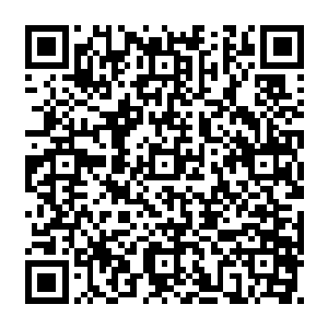 他们不远千里来参加这次的论道大会的主要目的就是希望获得一些修炼的功法等好处二维码生成