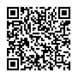 他们不需要接受除了长老审判团或者黑暗议会之外任何人的命令二维码生成