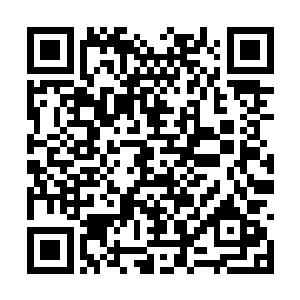 他们与慕水天之间的矛盾只是权力斗争和政治斗争二维码生成
