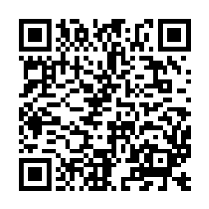 他们两个人在媒体面前依旧以恩爱情侣的形式出现二维码生成