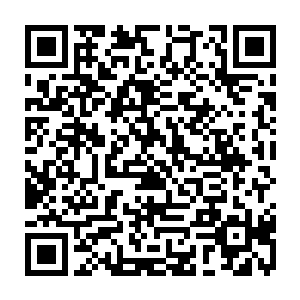 他们两个人成就金丹真人如此之久也从来都没有得到过刘立壬亲自赐予的丹药二维码生成
