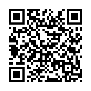 他们两个人的实力加起来也不够和红男爵玩二维码生成