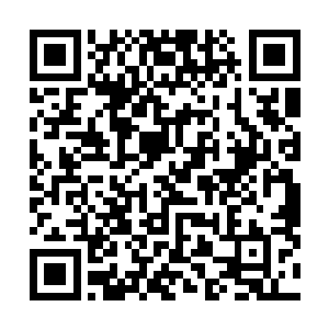 他们两个发现自己的身体似乎有着融合进这个阵图的趋势二维码生成
