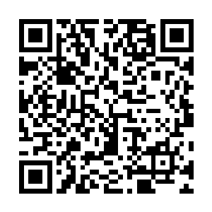 他们两个发现这两颗珠子已经将阵道和符道凝聚到了极点二维码生成