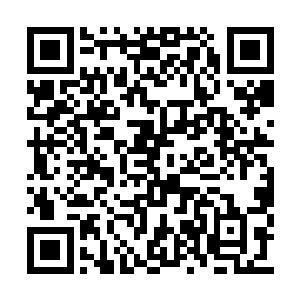 他们两个已经从这个圣字之内领悟了入圣的仙诀二维码生成