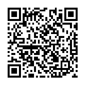 他们两个手中的那个图案……赫然是一个武的龙头二维码生成