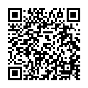 他们两个最怕的就是夏天选择了大长老之后报复他们两个二维码生成