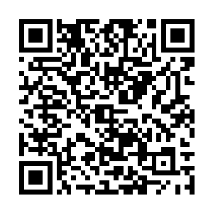 他们两个本来也不是那种肉搏能力特别顶尖的传奇二维码生成