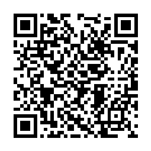 他们两个此时正在炼制第三个仙君初期巅峰的傀儡二维码生成