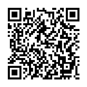 他们两个用安全带把自己固定在船头的栏杆上开始了表演二维码生成