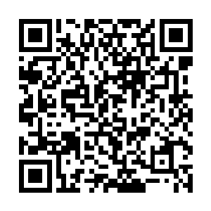 他们两个的心里是实实在在地不想星族族长得到天冠二维码生成