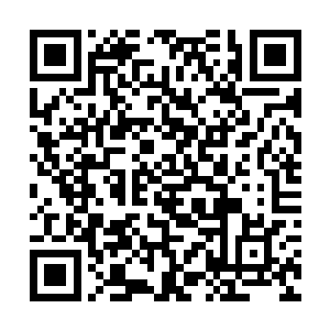 他们两个都是大荒战院最近几年声名鹊起的超卓人物二维码生成