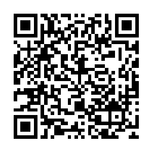 他们两人还没来得及沉淀出真正的感情就被这些黑势力粉碎了二维码生成