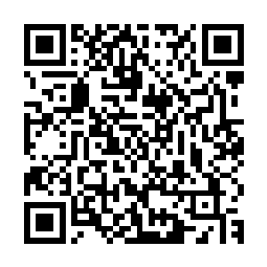 他们两人都已经知道了萧易救治钱富晨的一亿元的医疗费的事情二维码生成