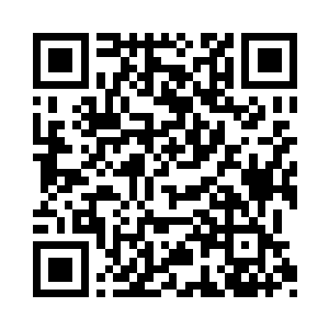 他们两口子当然是不可能做出伤仲永的事情的二维码生成