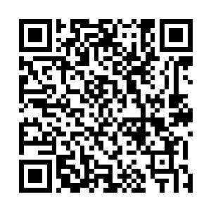他们中的大部分人只知道拉维斯的掌权者是克里兰德大公二维码生成