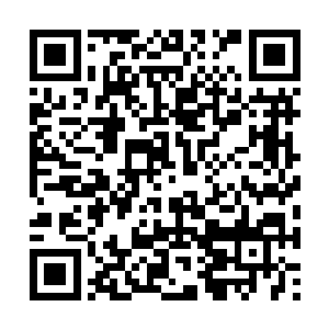 他们为什么会做出这种看上去几乎有些愚昧的行为二维码生成