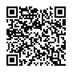 他们为自己是闻人霆老爷子的直接嫡系而感到骄傲二维码生成