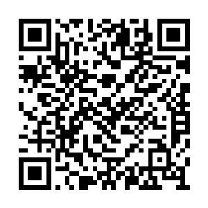 他们主仆一群人被杀千刀的陆江玩弄于股掌之中二维码生成