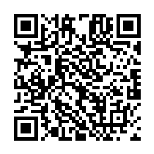 他们主仆二人在这边的生活比在海那边的时候要好多了二维码生成