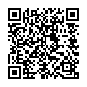 他们主要以劫持人类其他城邦通往西方沙漠黄金之国的货物为生二维码生成