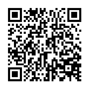 他们主要做的还是向附近城镇的一些大家族输送材料二维码生成