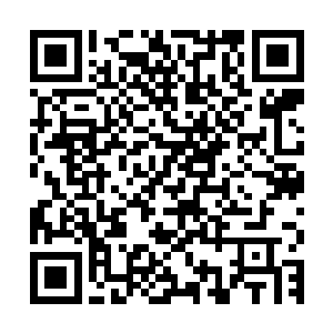 他们主要是考察米国政府机构管理职能以及先进的行政管理经验二维码生成