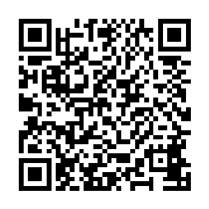 他们之中的天才可能一夜之间对某个职业有了深入的感悟二维码生成