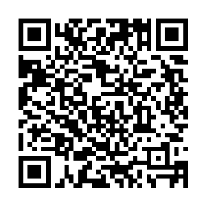 他们之于琉璃天帝就相当于七朵金莲之于叶大先生二维码生成