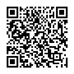 他们之前一直依赖英国的宗主地位才能保全整个国家的存在二维码生成