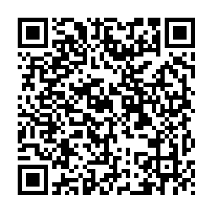 他们之前停下的地方虽然运气好的正好在自动浇水的地方没浇到的死角二维码生成