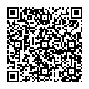 他们之前原定的藏身地点是在布鲁塞尔以南18公里索瓦尼森林尽头的滑铁卢小镇附近二维码生成