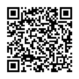 他们之前听金子陵说什么生死勿论还以为是开开玩笑二维码生成