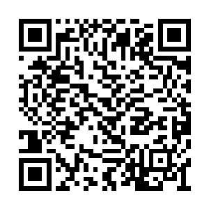 他们之前还笑话林铭要在神文城拍卖会拍卖白条二维码生成