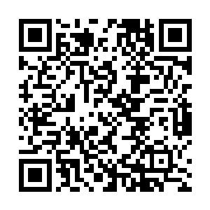 他们之所以如此激烈的争夺不都是因为杨风已经死了吗二维码生成