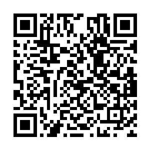他们之间不乏隐藏了之前落败于杰西卡的传奇人物二维码生成